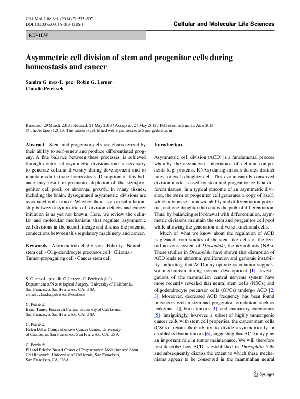 (PDF) Asymmetric cell division of stem and progenitor cells during ...
