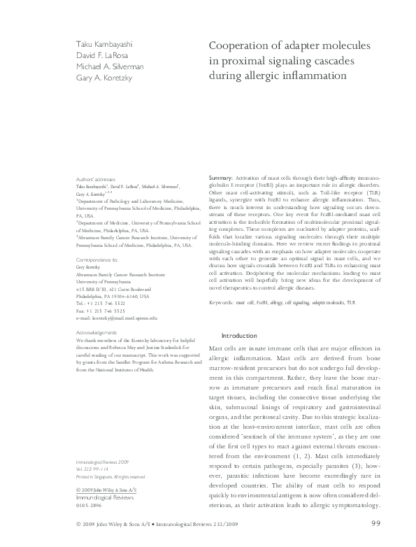 (PDF) Cooperation of adapter molecules in proximal signaling cascades