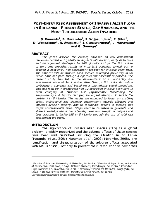 Flora assessment agathis macrophylla essay 05 picture
