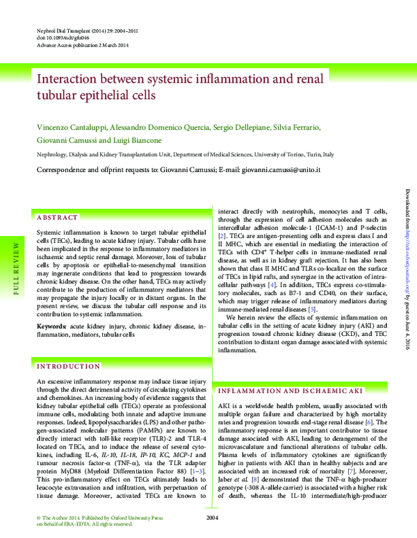 (PDF) Interaction between systemic inflammation and renal tubular ...