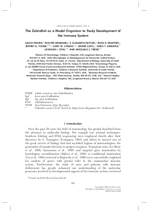(PDF) The Zebrafish as a Model Organism to Study Development of the ...