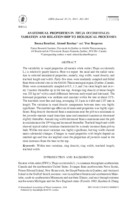 (PDF) Anatomical properties in Thuja occidentalis:Variation and ...