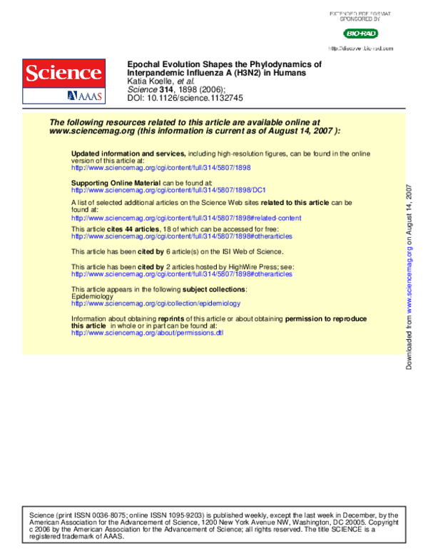 Where did influenza originate picture