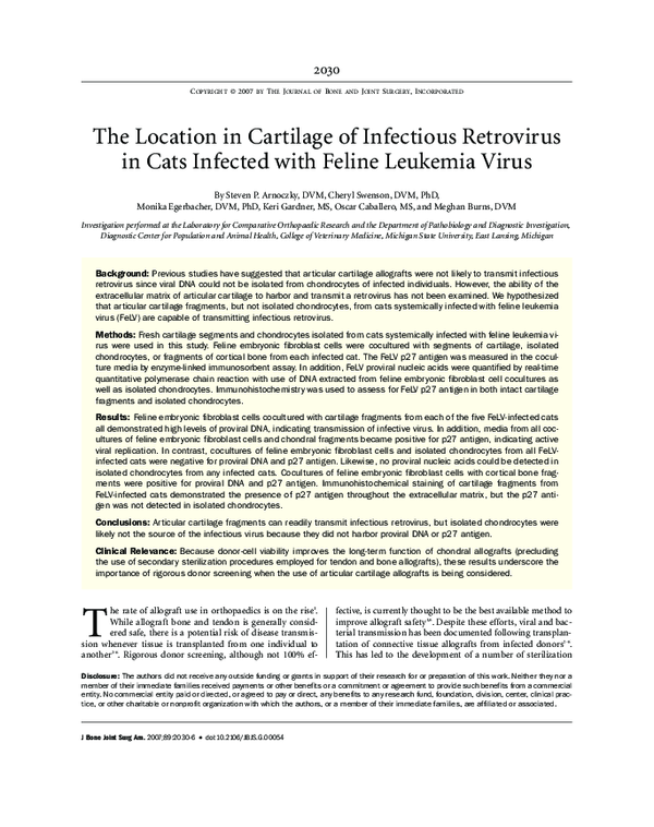 (PDF) The Location in Cartilage of Infectious Retrovirus in Cats ... - Feline Retrovirus In Cats Treatment