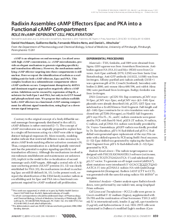(PDF) Radixin Assembles cAMP Effectors Epac and PKA into a Functional ...