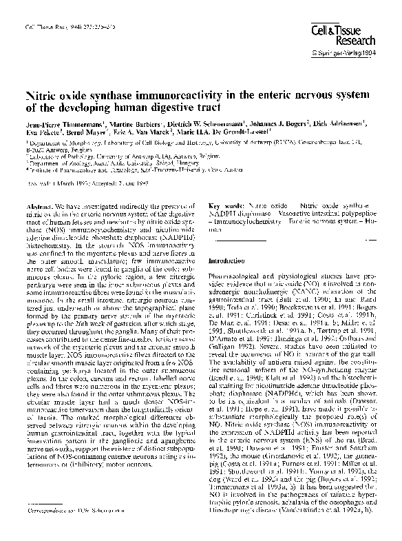 (PDF) Nitric oxide synthase immunoreactivity in the enteric nervous