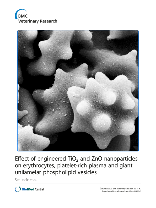 (PDF) Effect of engineered TiO2 and ZnO nanoparticles on erythrocytes ...
