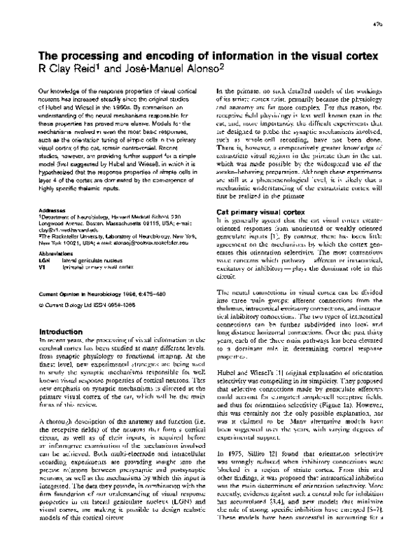 (PDF) The processing and encoding of information in the visual cortex