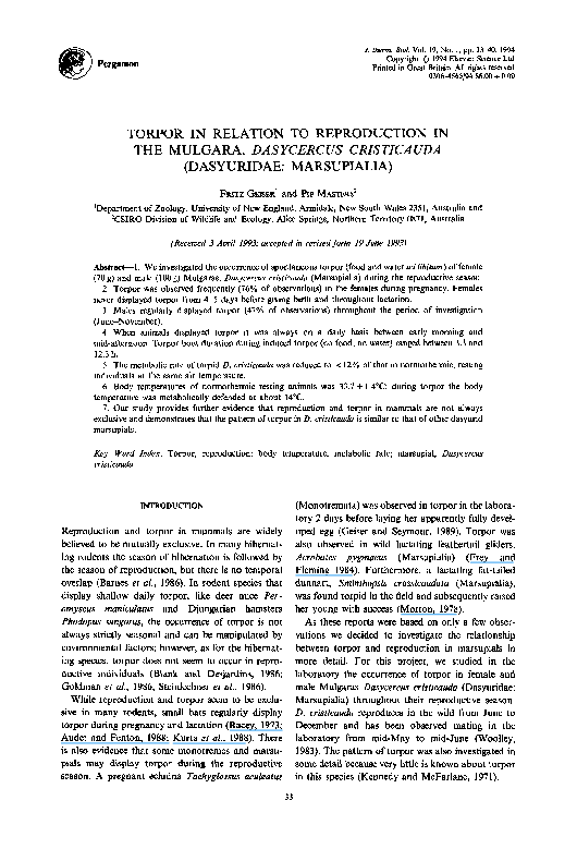 Estrogen-sensitive medial preoptic area neurons coordinate torpor in mice image