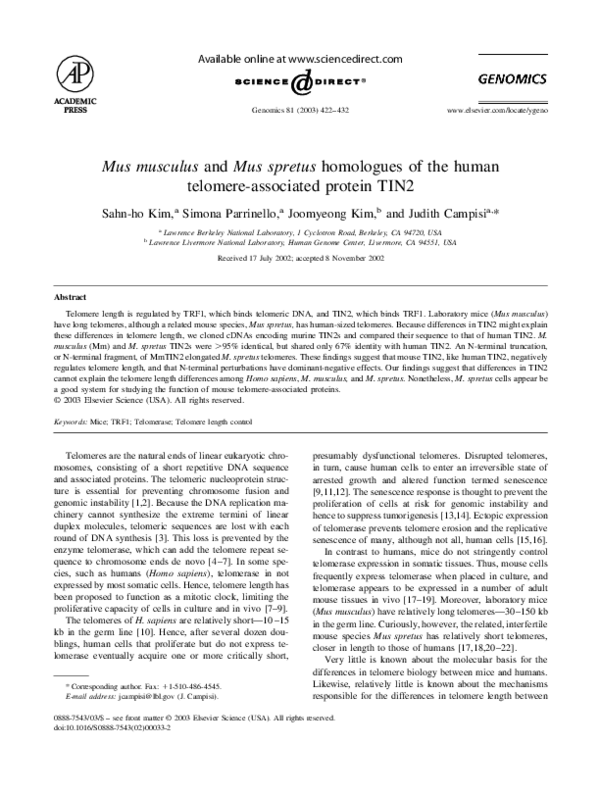 (PDF) Mus musculus and Mus spretus homologues of the human telomere ...