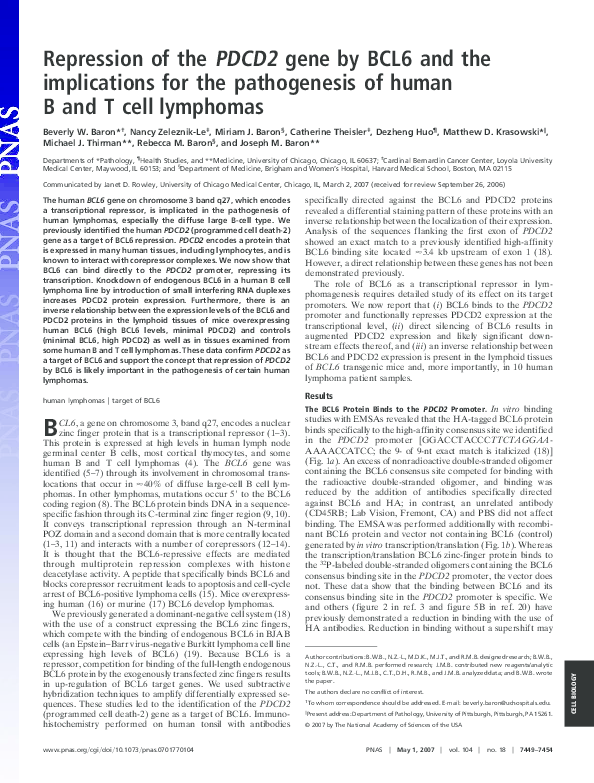 (PDF) Repression of the PDCD2 gene by BCL6 and the implications for the ...