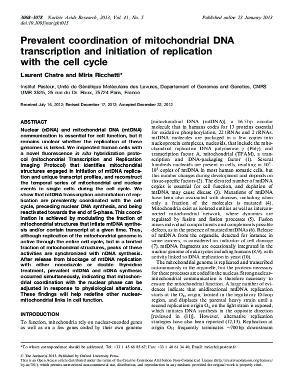 (PDF) Prevalent coordination of mitochondrial DNA transcription and ...