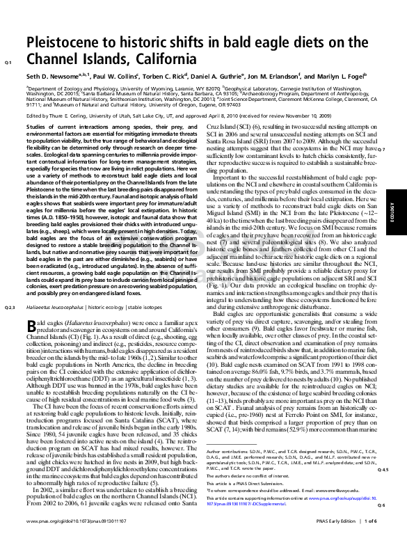 Essay on fogel2010 08 image