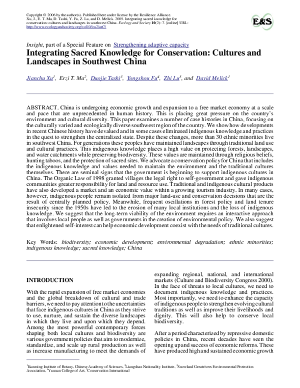 Term rew essay image