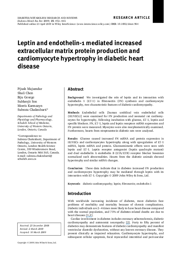 Endothelin essay 08 image