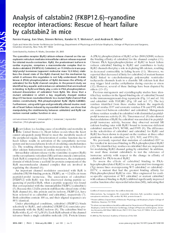 (PDF) Analysis of calstabin2 (FKBP12.6)-ryanodine receptor interactions ...
