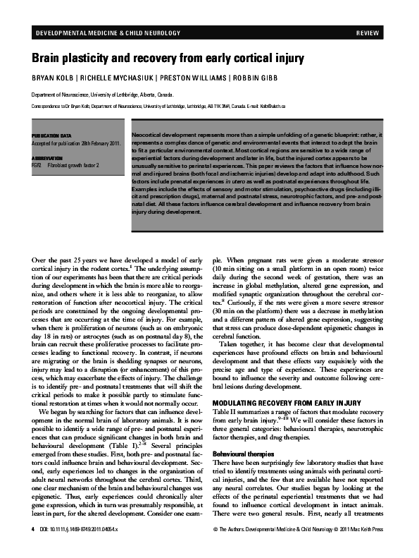 Neuroplasticity research articles image