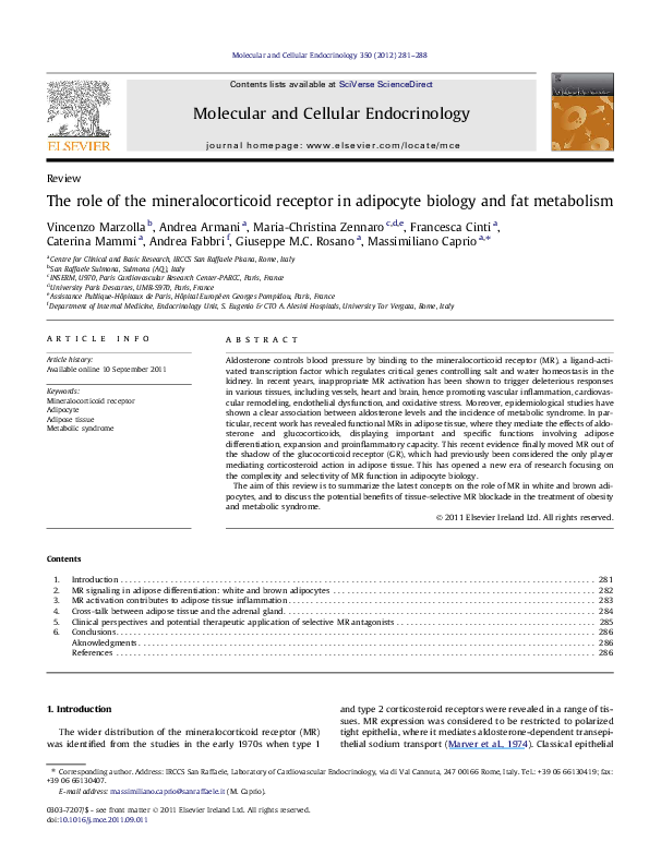 (PDF) The role of the mineralocorticoid receptor in adipocyte biology ...