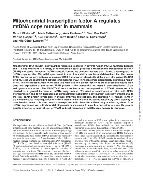 (PDF) Mitochondrial transcription factor A regulates mtDNA copy number ...