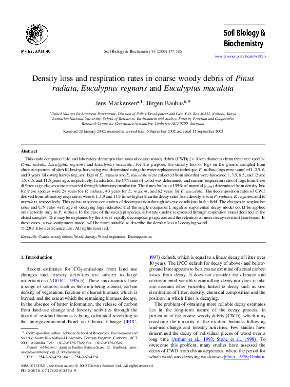 Eucalyptus powder picture