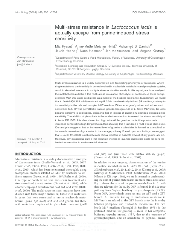 Short essay about stress image