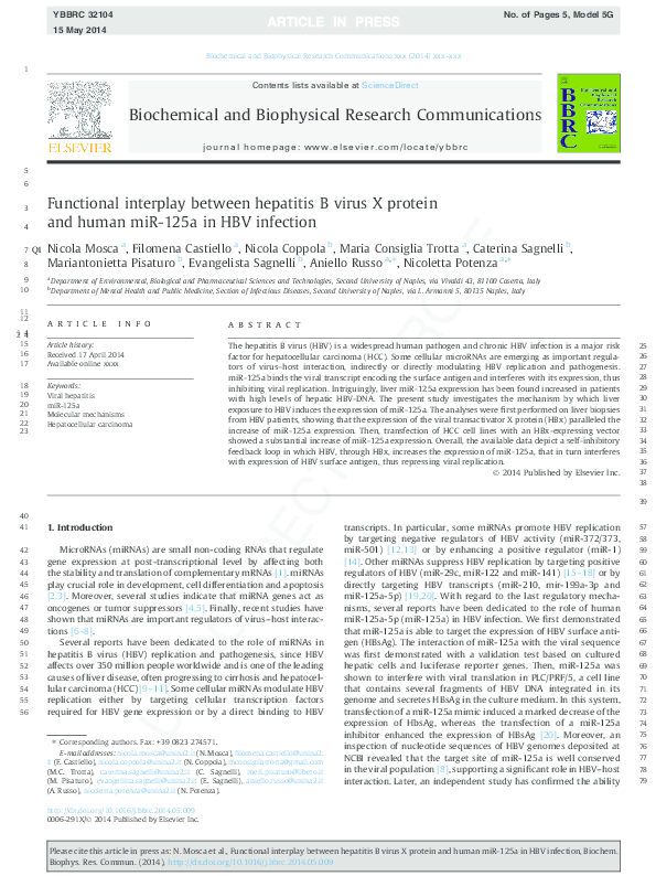(PDF) Functional interplay between hepatitis B virus X protein and ...
