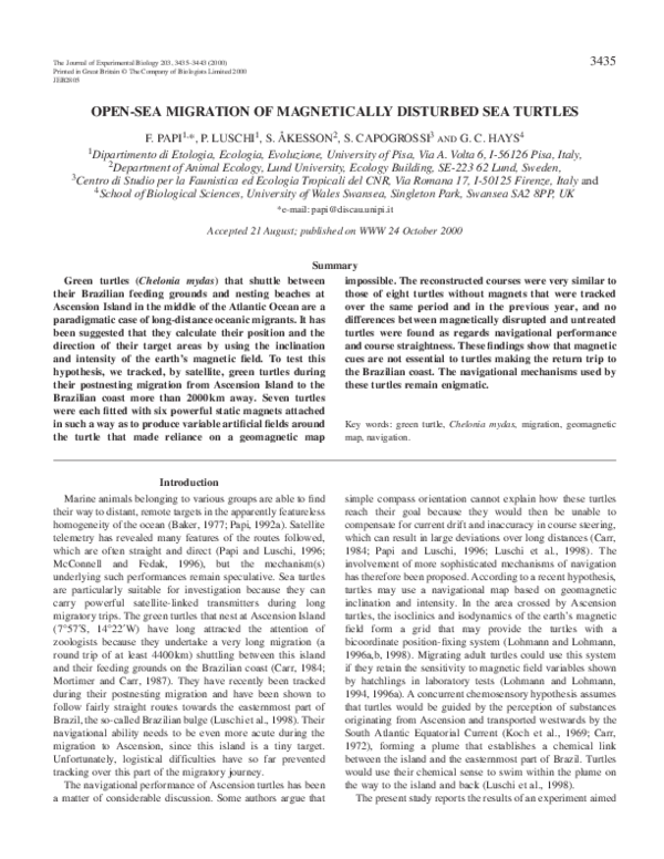 (PDF) Open-sea migration of magnetically disturbed sea turtles