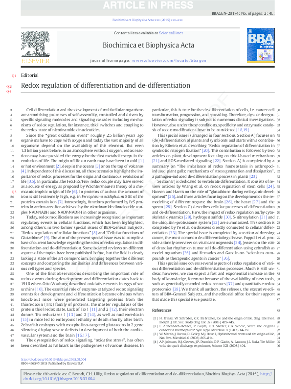 (PDF) Redox regulation of differentiation and de-differentiation