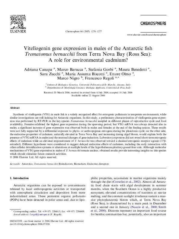 (PDF) Vitellogenin gene expression in males of the Antarctic fish ...