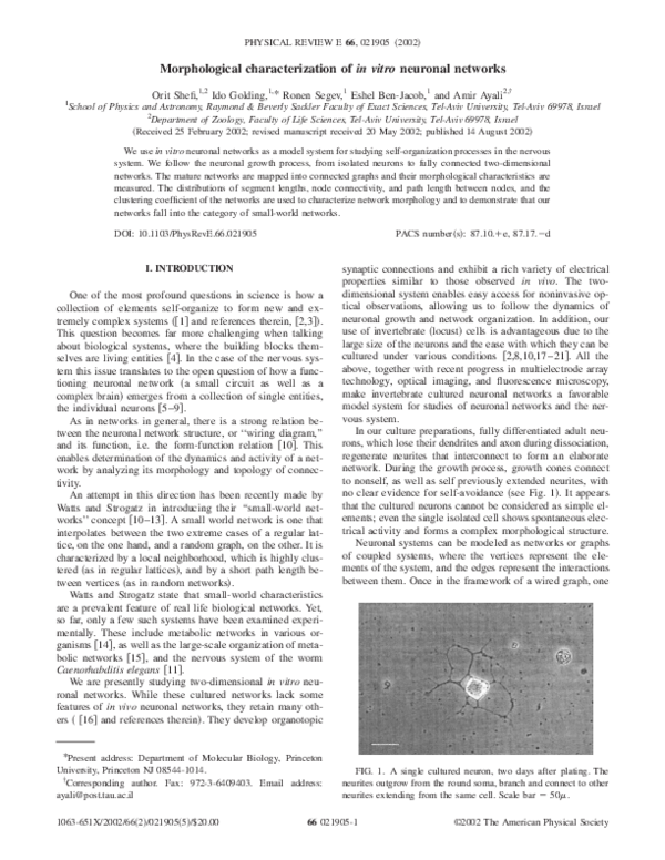 (PDF) Morphological characterization of in vitro neuronal networks