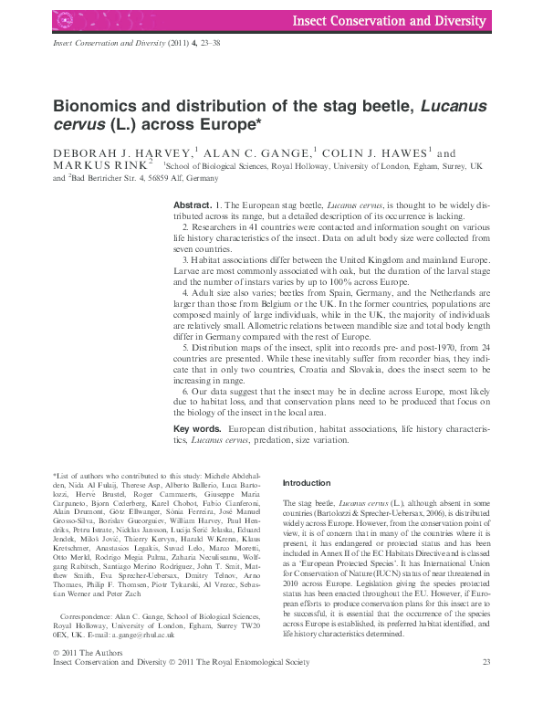 Cervus essay 08 picture