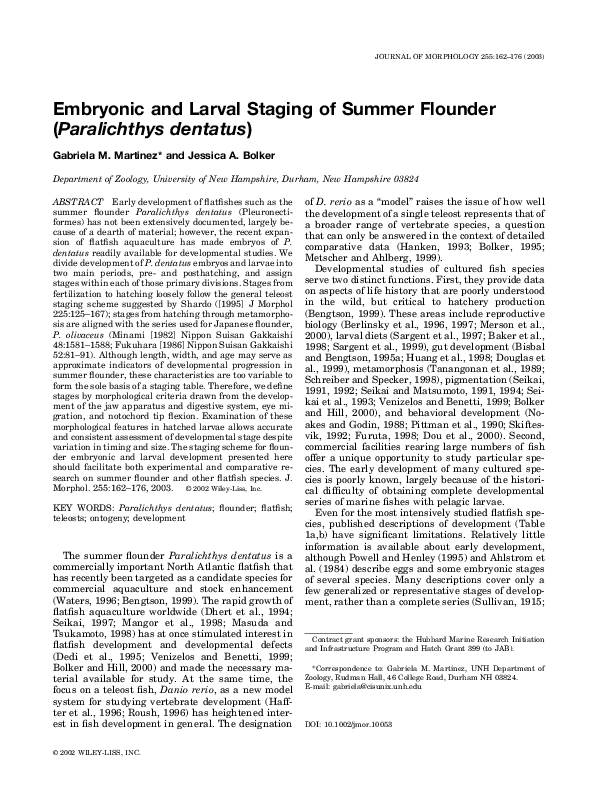 Founder and ceo difference image