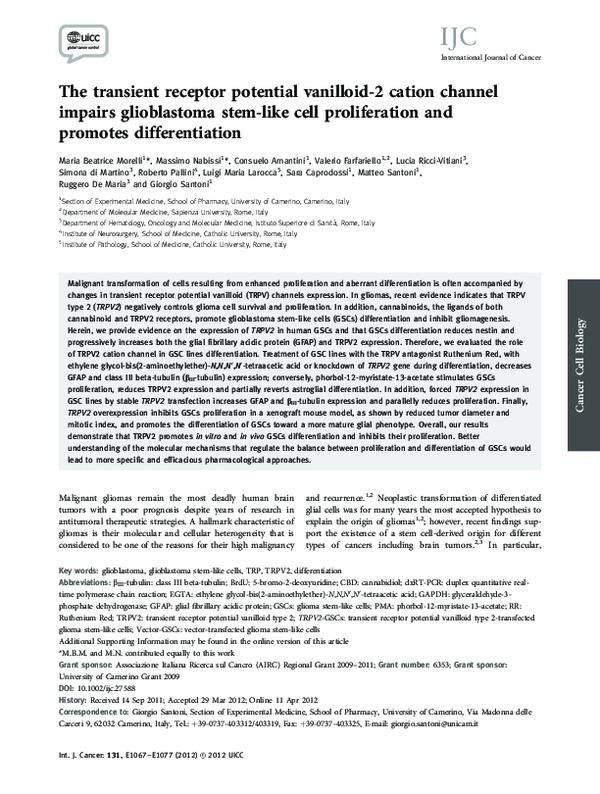(PDF) The transient receptor potential vanilloid-2 cation channel ...