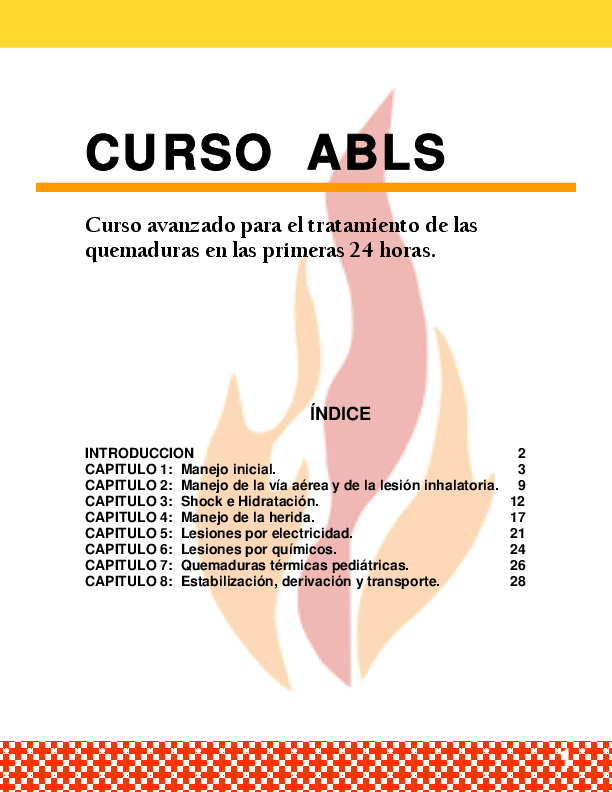 (PDF) Manual ABLS Quemaduras en Las Primeras 24 Hrs