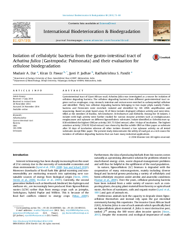 (PDF) Isolation of cellulolytic bacteria from the gastro-intestinal ...