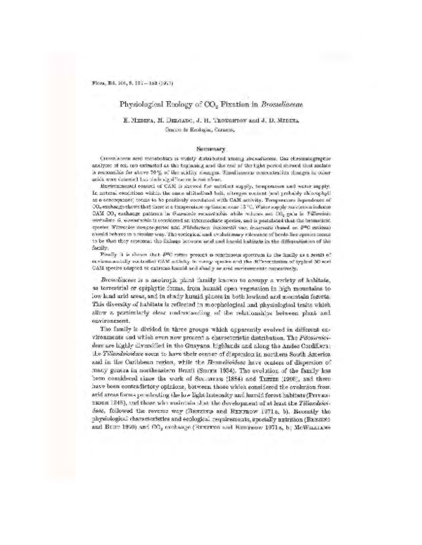 Forest ecophysiology picture