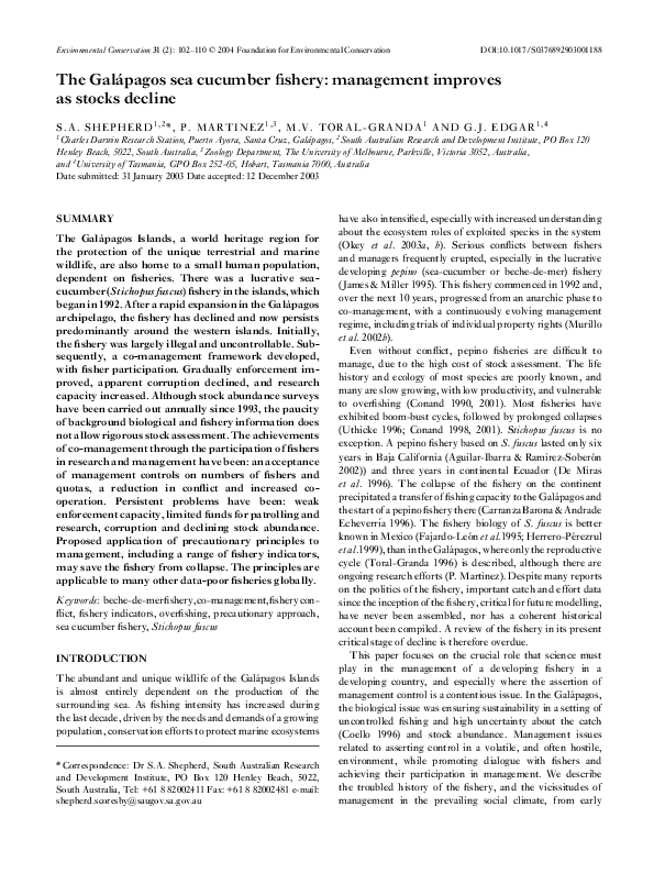 Sea cucumber meat picture