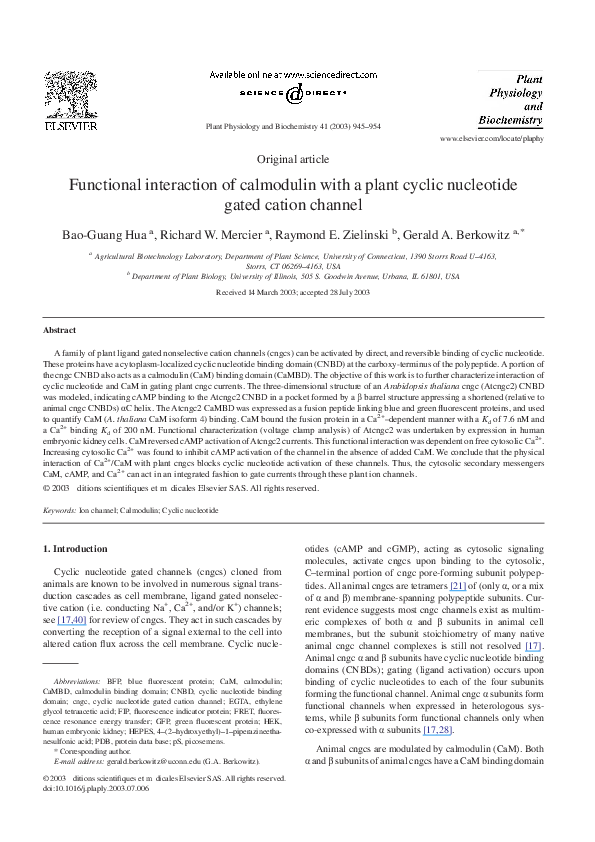 (PDF) Functional interaction of calmodulin with a plant cyclic ...