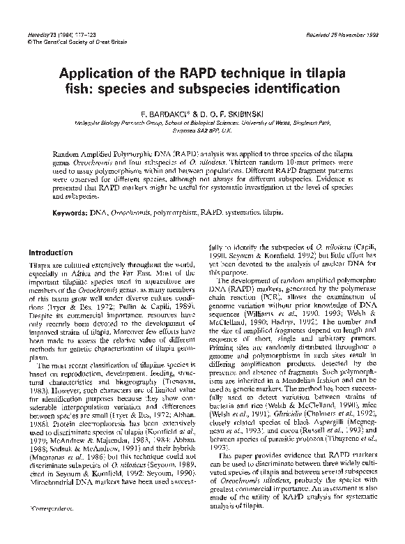 (PDF) Application of the RAPD technique in tilapia fish: species and ...