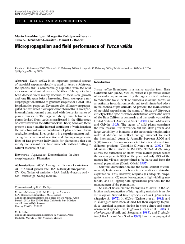 Tissue culture plants image