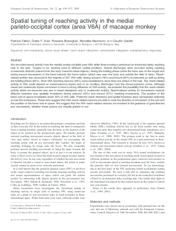 (PDF) Spatial tuning of reaching activity in the medial parieto ...