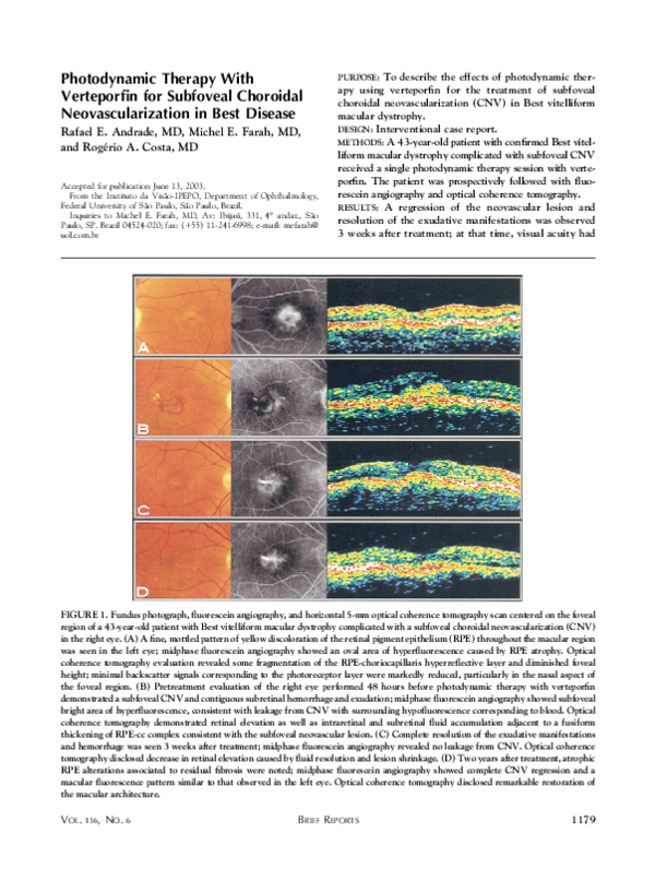 (PDF) Photodynamic therapy with verteporfin for subfoveal choroidal ...