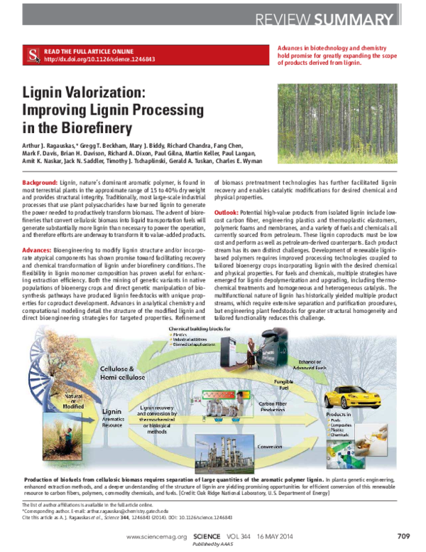 (PDF) Lignin valorization improving lignin processing in the