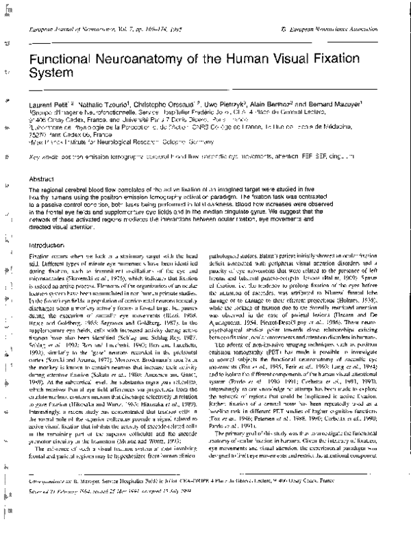 (PDF) Functional Neuroanatomy of the Human Visual Fixation System