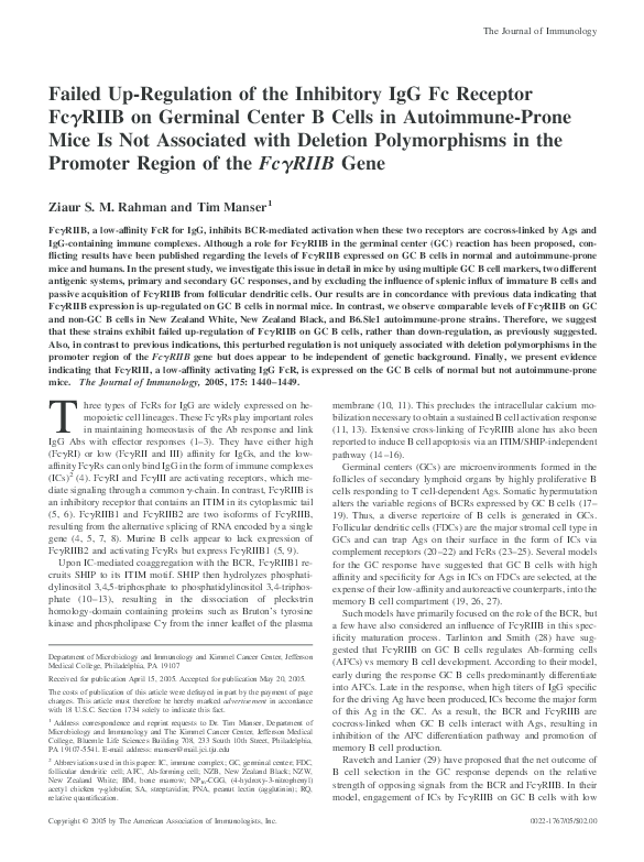 (PDF) Failed up-regulation of the inhibitory IgG Fc receptor Fc gamma ...