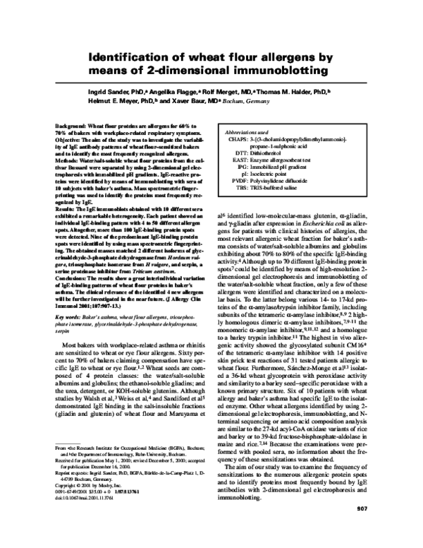 (PDF) Identification of wheat flour allergens by means of 2dimensional
