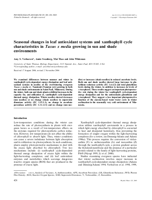 (PDF) Seasonal changes in leaf antioxidant systems and xanthophyll
