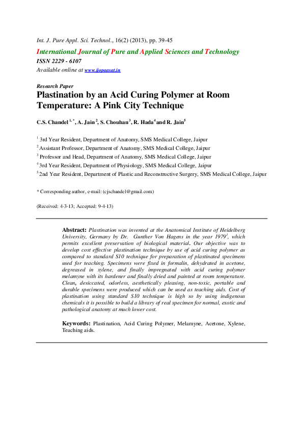 Essay on plastination 07 picture