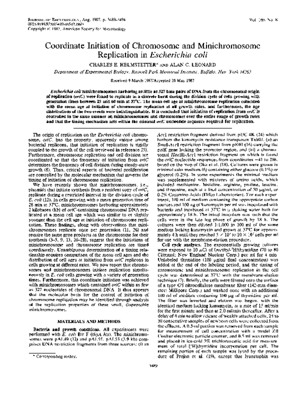 Essay on minichromosome 08 picture