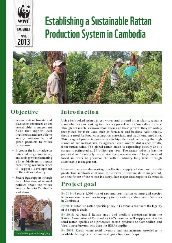 (PDF) Rattan project brief